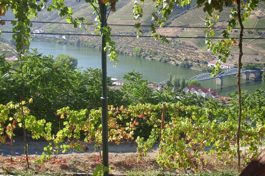 핀하오 Quinta Da Galeira 빌라 객실 사진
