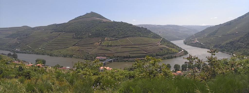 핀하오 Quinta Da Galeira 빌라 외부 사진
